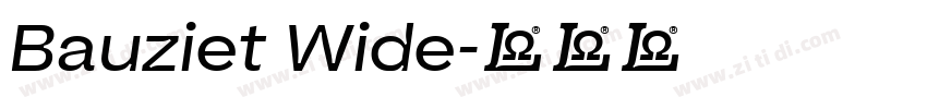 Bauziet Wide字体转换